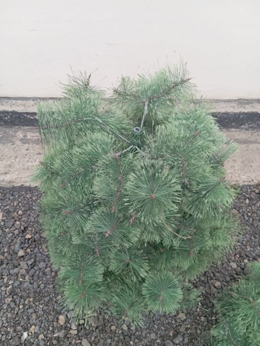 Продам ёлку 135 см