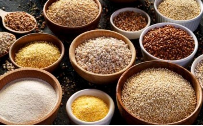 Корм для собак Костанай