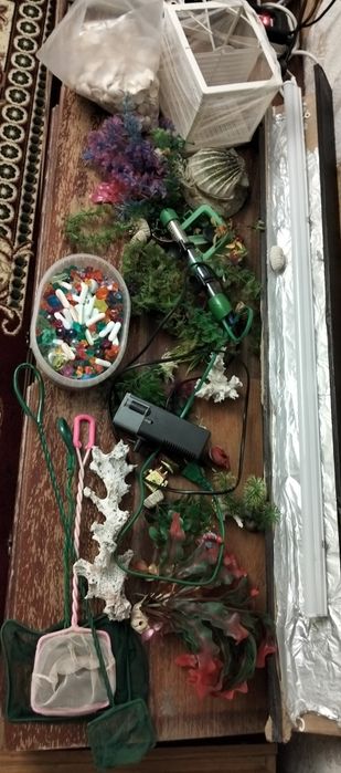 Продам ракушки и камешки