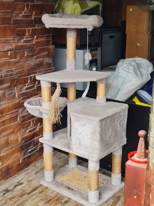 Ansamblu pentru pisici