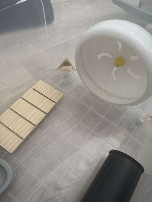 Дом для хомяка и других