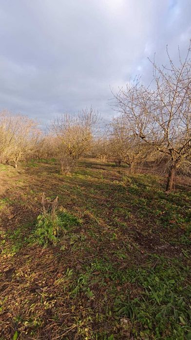 Продава се Къща в с. Полковник Минково, Област Добрич - 54 кв.м за 543 €/кв.м - Снимка #2