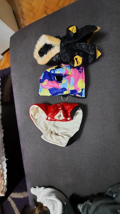 Дрешки за кученце s  и xs 50лв