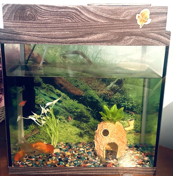 Аквариум 35 литров