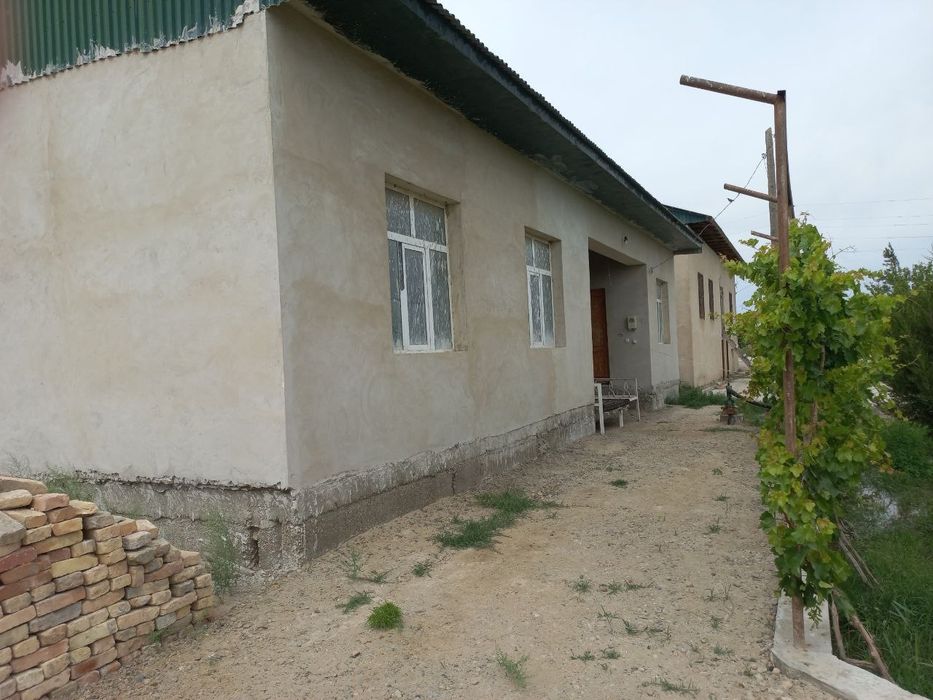 Romitan tumanida joylashgan 15 sotixli hovli tezda sotiladi.