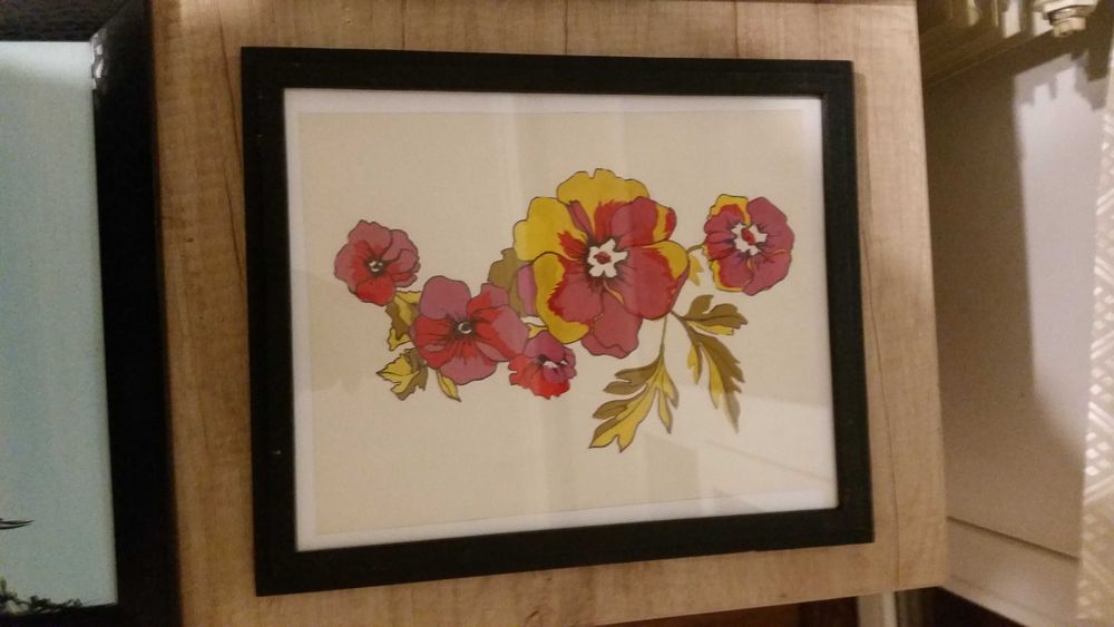 Картини в хубави рамки, само по 9 Евро за 1 картина. Без забележки!