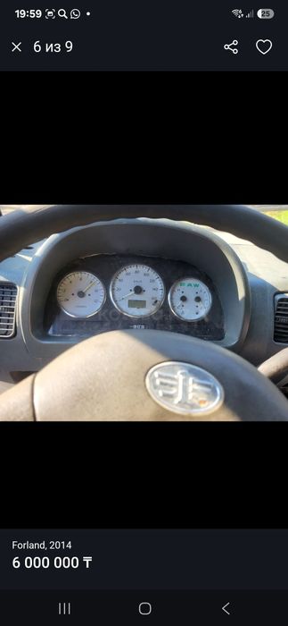 Самасвал китаец 3х тоник