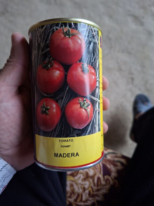 Памидор кучат сот