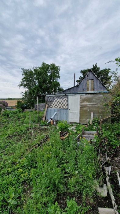 продажа дачи ПКСТ Колос