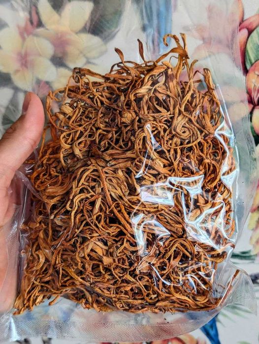 Кордицепс милитарис | эко-ферма Башкирия