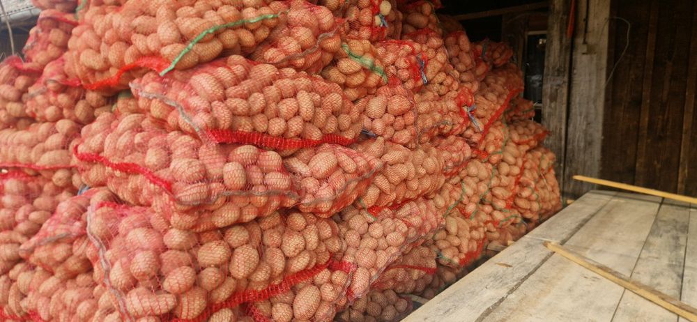 Cartofi consum alb și rosu