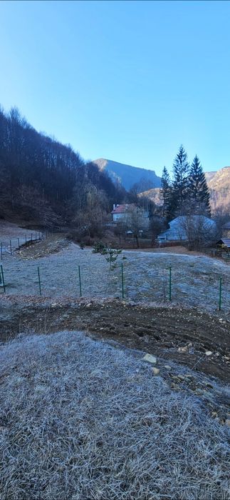 Teren intravilan 800m