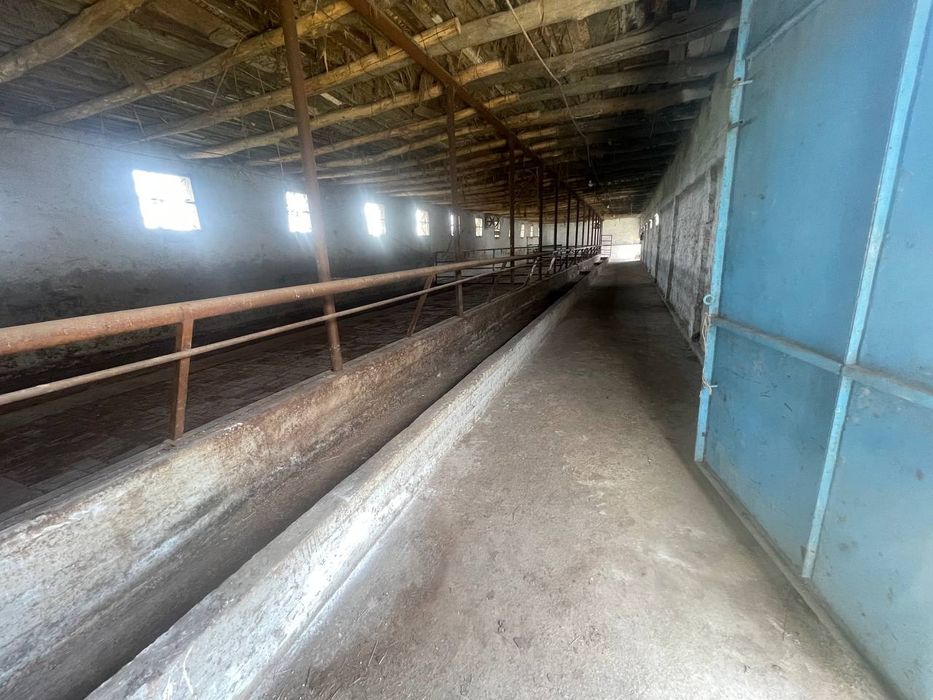 Ферма продается срочно 25сотих