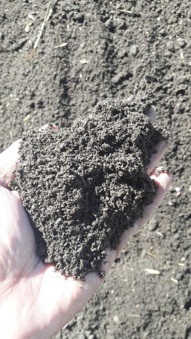 Органик тоза биогумус сотилади