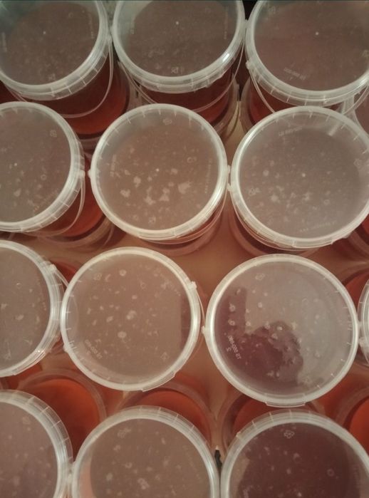 Мёд натуралный оптом и в розницу