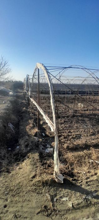 Issiqxona 10sotx narxini kelishamiz