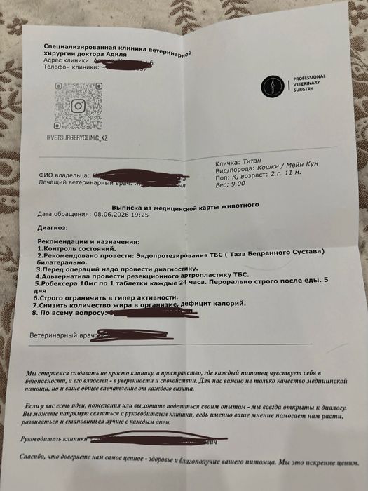 сбор на лечение для кота!!