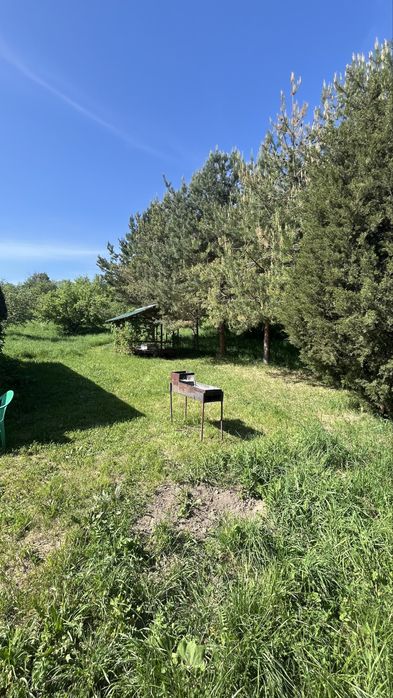 Отдых на природе