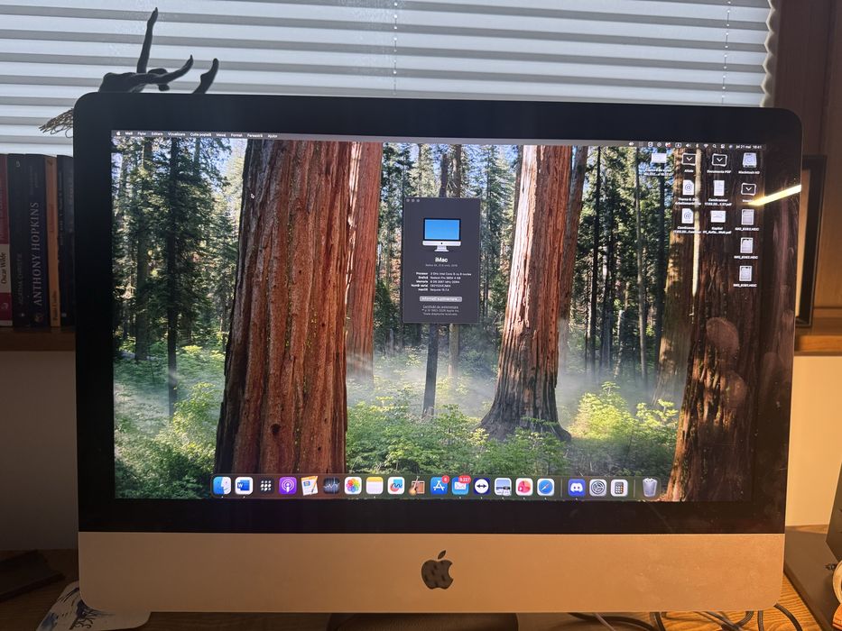 Imac 21.5 inchi ,2019