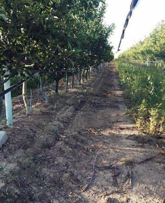 Односторонний опрыскиватель гербицидов с 400л. баком. KADIOGLU SPD4