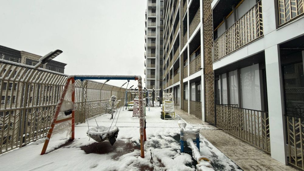 Sotiladi Olmazor tumanida