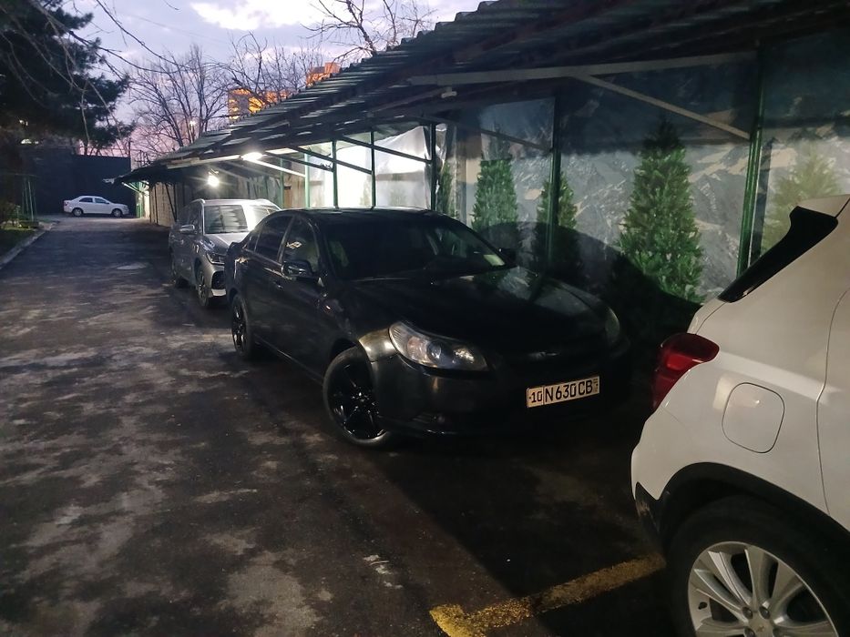 Boshiga 3000, qogani bir yilda 300dan. Epika sotiladi.