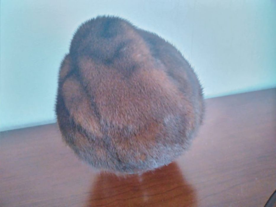 Норковая шапка. Рядом с Каргу.