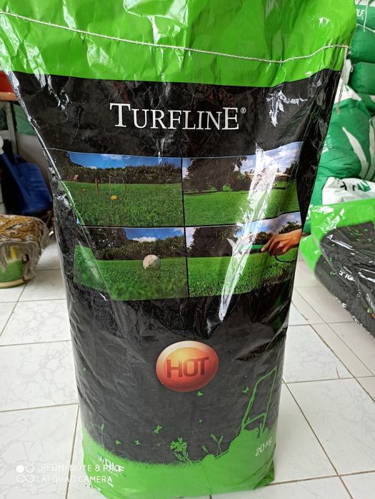 Gazon uruglari azron naxrda optim narxda