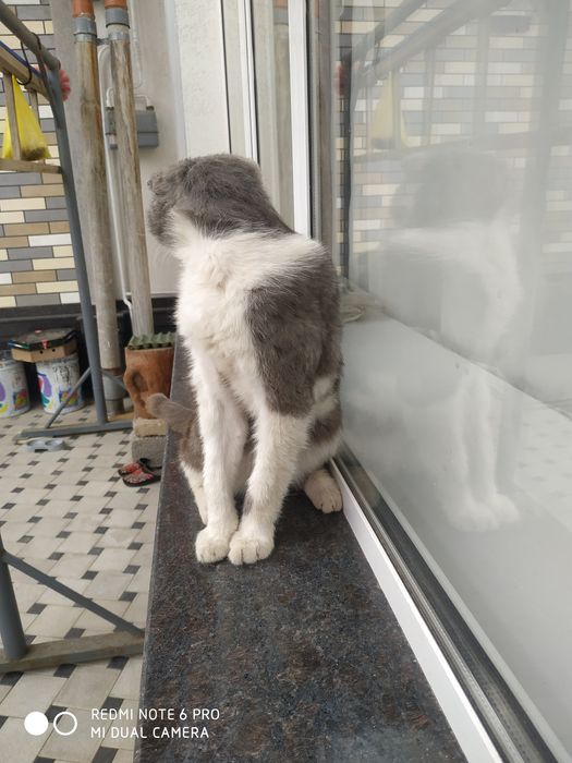 Ogzaki jinsiy aloqa video