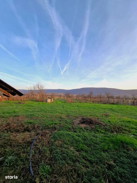 4.443 mp poziționați direct la DJ678A, cu 39,57 m front stradal .