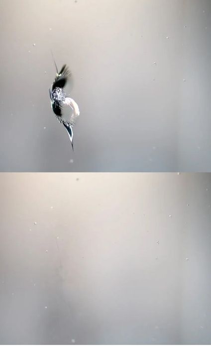 Reparatii ciobituri parbrize la domiciliu