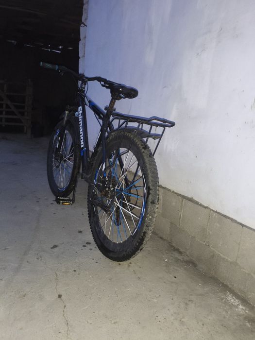 Velik sotiladi shimanoo