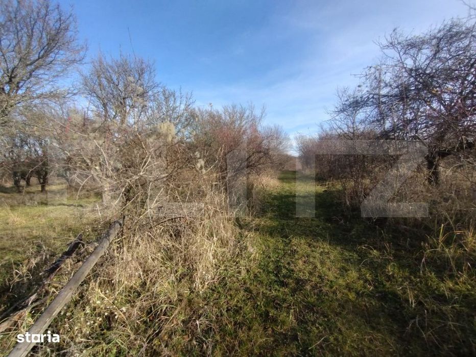 Teren extravilan, 20 ari, livada pomi fructiferi, zona Subcetate