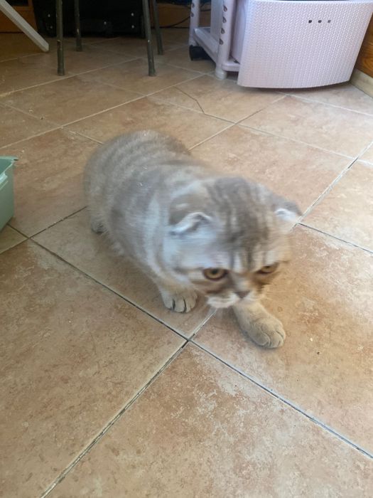 Он очень хороший добрый