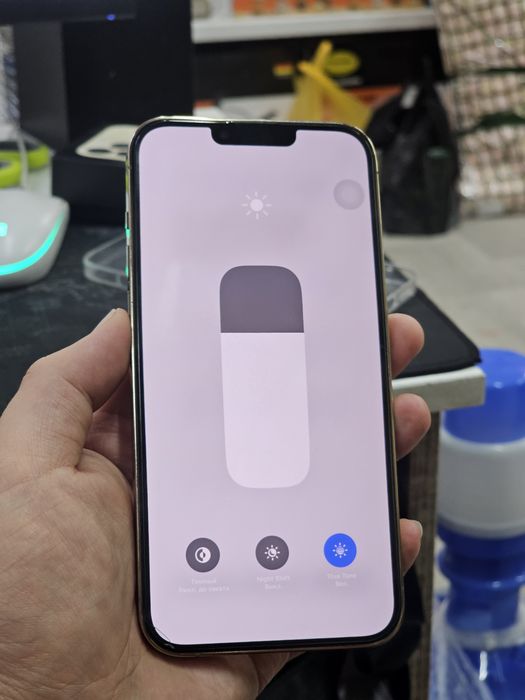 iPhone 13 Pro Max 256Gb