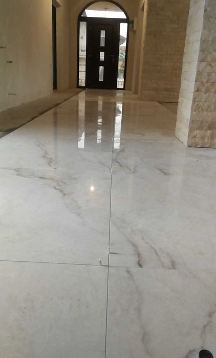 DxA Expert Construct