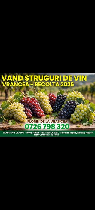 Struguri de vin alb și negru