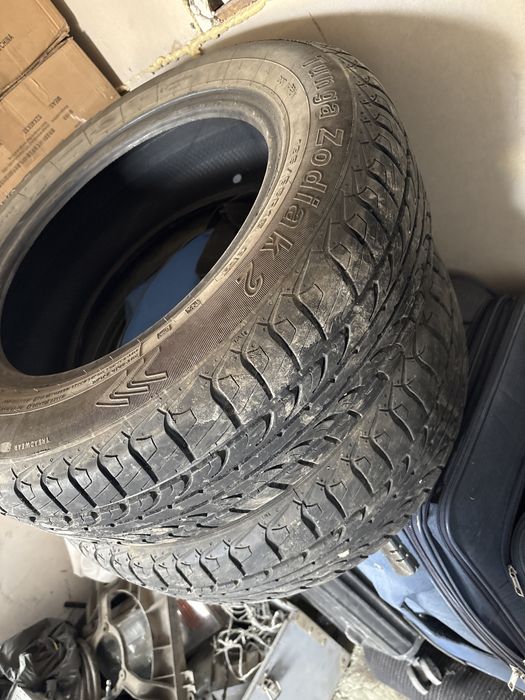 Продам пару летних шин tunga