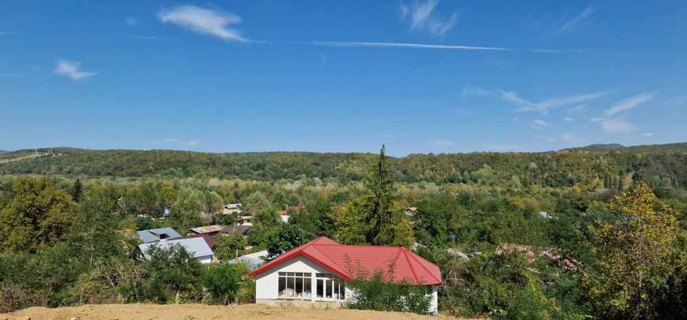 Vila vanzare Cotofenesti