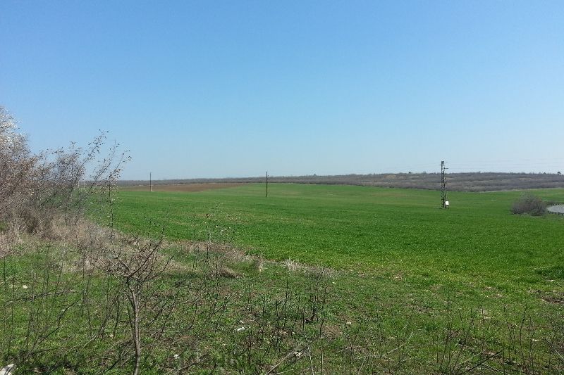 Топ Цена € 6/кв.м.! Земя с утвърдена площадка в село Александрово