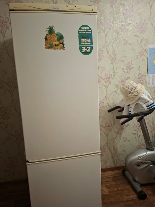 Холодильник Snige