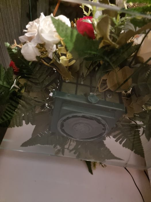 Buchet flori pe mașină miresei cu ventuza