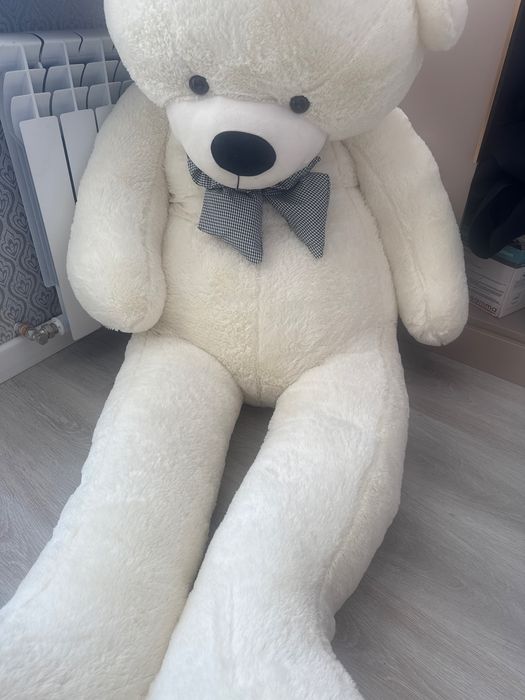 2 метра медведь