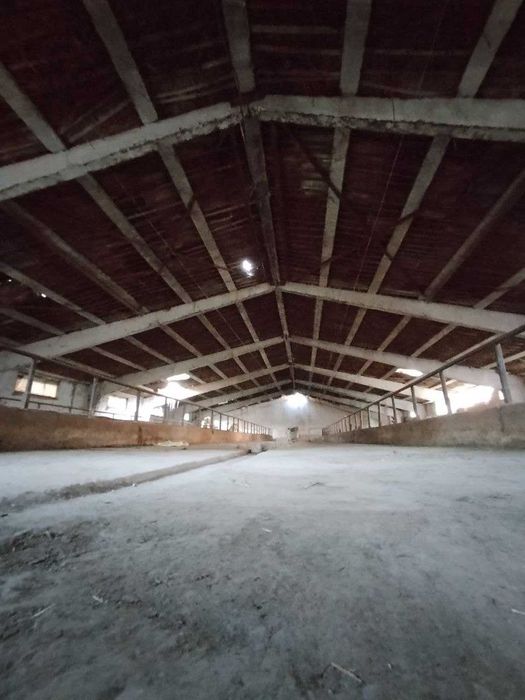 Ishlab Chiqarish Sexi.