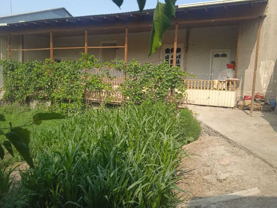 yashash uchun tayyor joy xazorasp tumanida