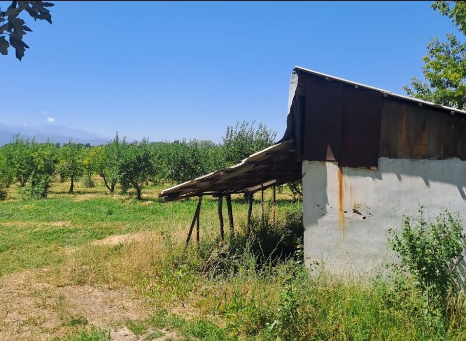 Продам землю с садом