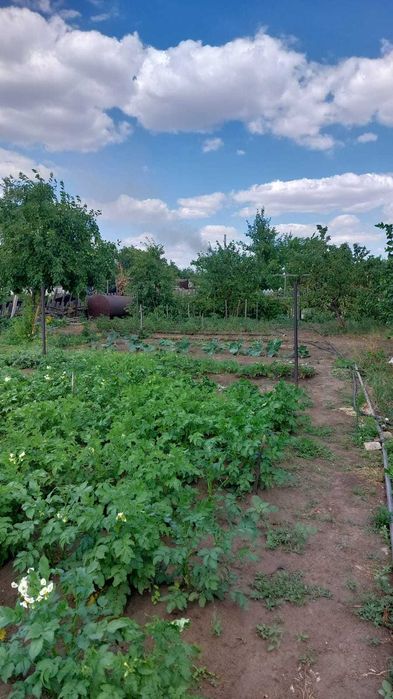 продам дачу сад Металлург