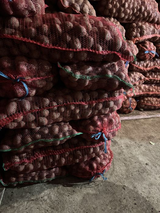 Vând cartofi pentru animale 1leu kg sau de sămânță,cartofi consum 2 le