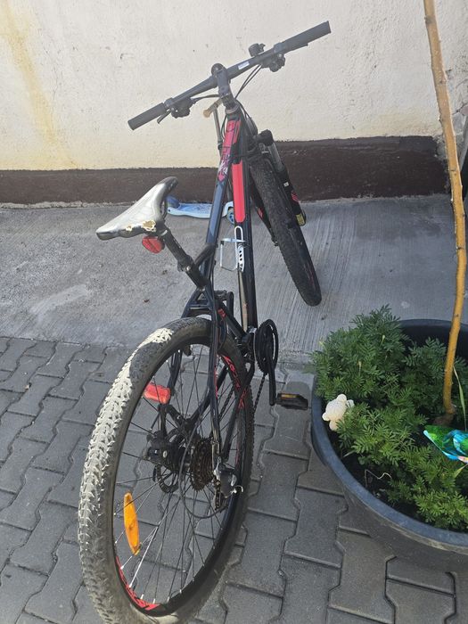 Bicicleta mountain bike