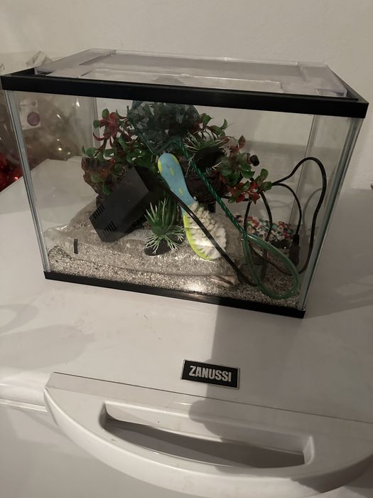 Acvariu pentru pesti
